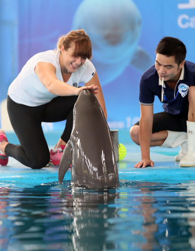 巴鄂竞技v 巴鄂竞技v